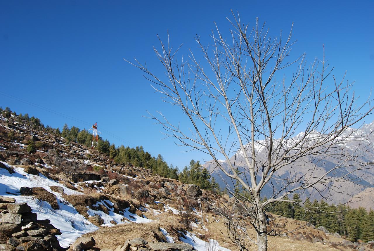 Auli Resort Joshīmath Esterno foto